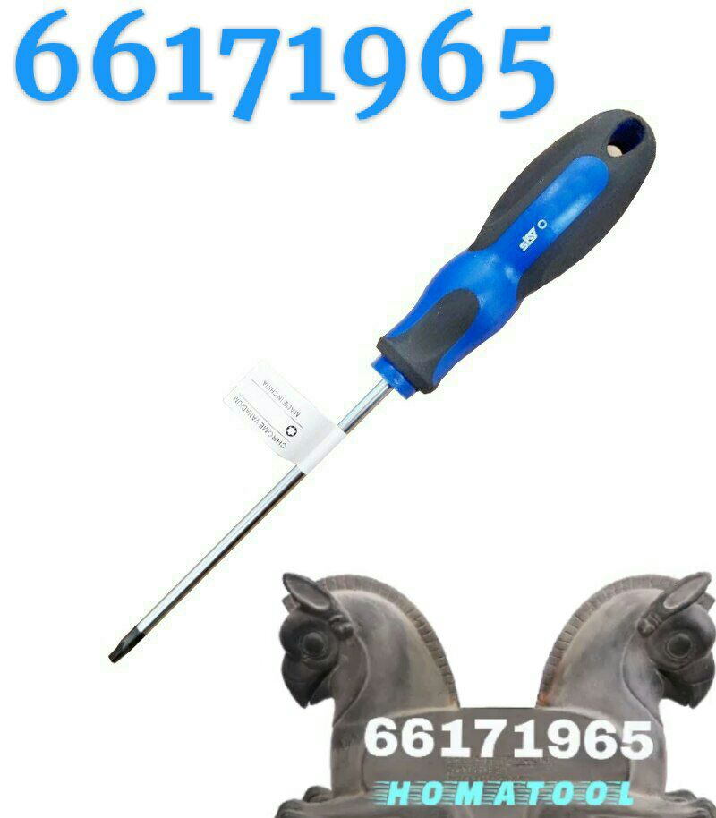 پیچ گوشتی تی T30 اسکای